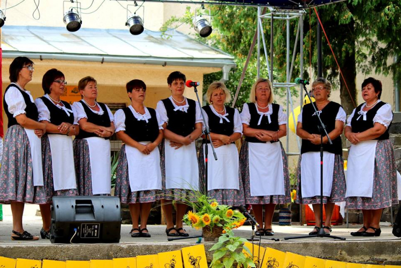 Úspechy ženskej skupiny - A Bazsarózsa asszonykórus sikerei