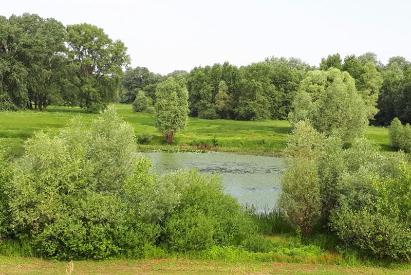 A töltés megerősítése a Latorcánál - Naša rieka Latorica