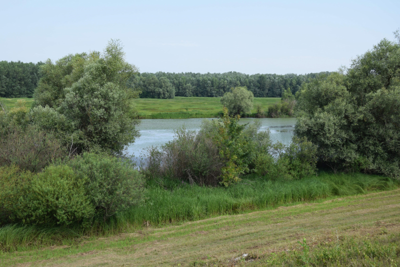 A töltés megerősítése a Latorcánál - Naša rieka Latorica