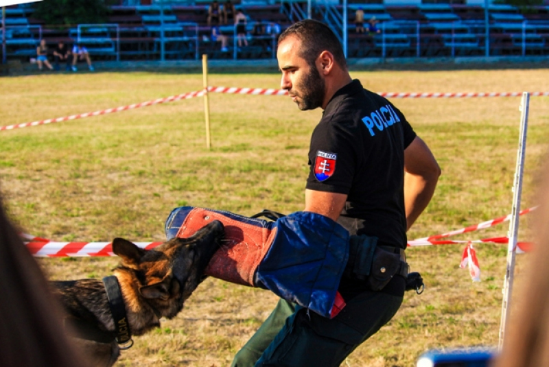 Családi nap - Deň rodín