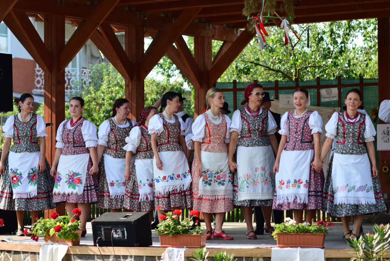 Folklórny festivál - Bodrogközi Népművészeti Fesztivál