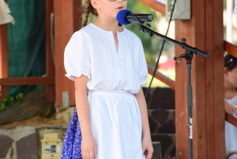 Folklórny festivál - Bodrogközi Népművészeti Fesztivál