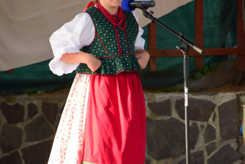 Folklórny festivál - Bodrogközi Népművészeti Fesztivál