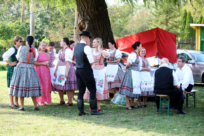 Folklórny festivál - Bodrogközi Népművészeti Fesztivál