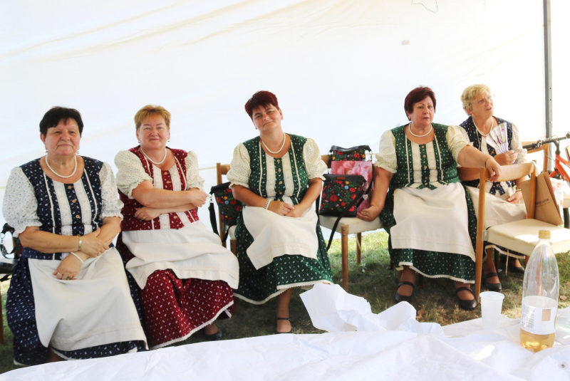 Folklórny festivál - Bodrogközi Népművészeti Fesztivál