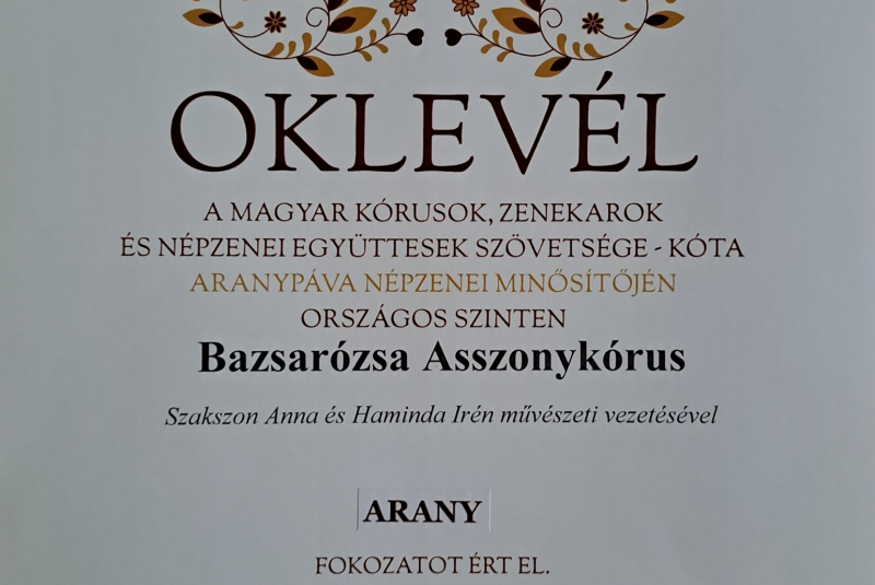 A Bazsarózsa asszonykórus fellépései -Vystúpenia skupiny 