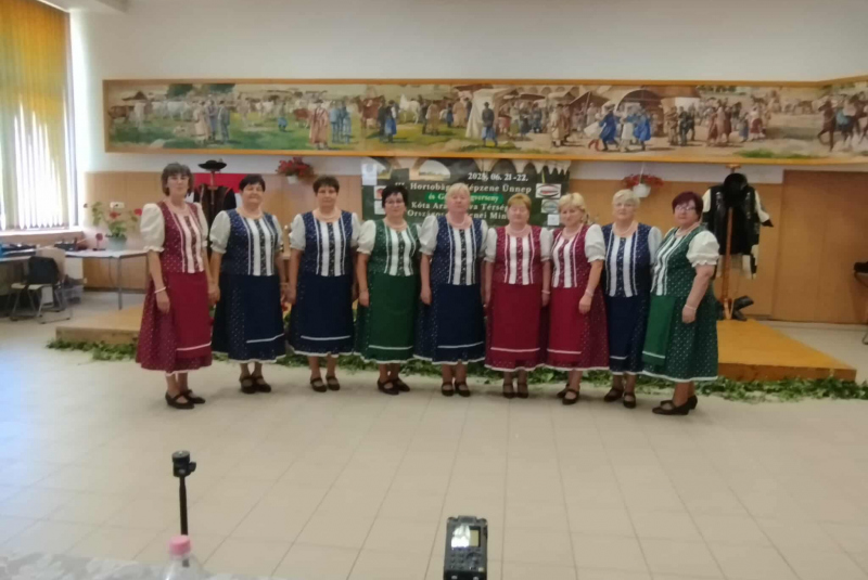 A Bazsarózsa asszonykórus fellépései -Vystúpenia skupiny 