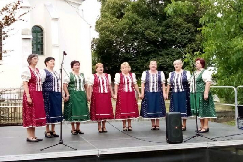 A Bazsarózsa asszonykórus fellépései -Vystúpenia skupiny 