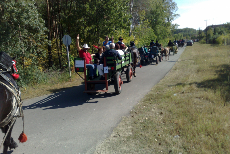 Udalosti rok 2009-2012